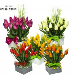 Kompozycja tulipanów w kwadratowej donicy